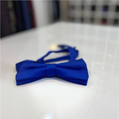 پاپیون آبی آسمانی